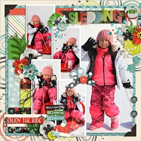 eve-20170123-sledding-web.jpg