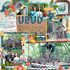 eve-20181211-ubud-monkey-forrest-web.jpg