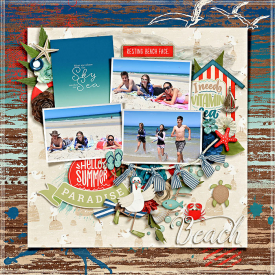 eve-20190113-beach-day-web.jpg