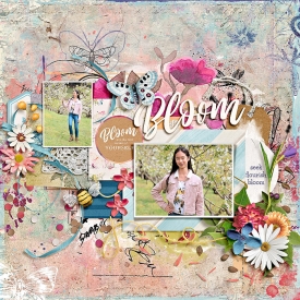 eve-20191007-bloom-web.jpg