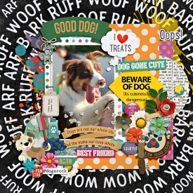 eve-20191225-dog-cute-web.jpg