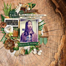eve-20220420-dont-forget-your-roots-web.jpg