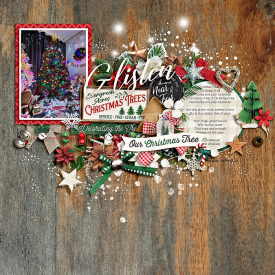 eve-20231123-our-christmas-tree-web.jpg