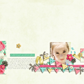 everydaymemories_bannered_copy.jpg