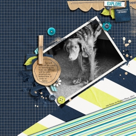 explore-copy1.jpg