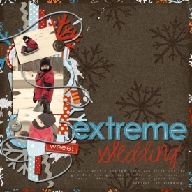 extreme-sledding-web.jpg