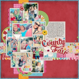 fair2013-web.jpg
