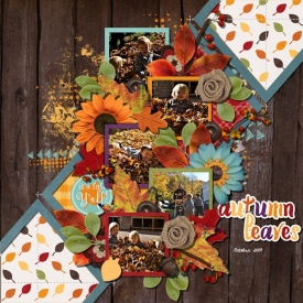fallleaves2.jpg