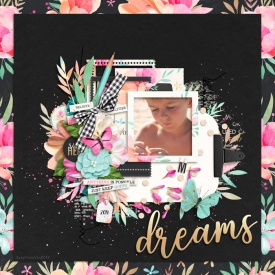 fanyfanette-dreams2019.jpg