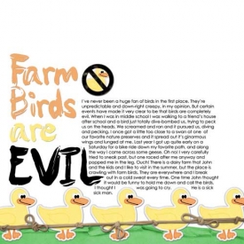 farmbirdsareeveilweb.jpg