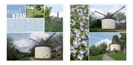fb_lux2009_moselkrahn_small.jpg