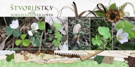 fb_lux2011_clover_small.jpg