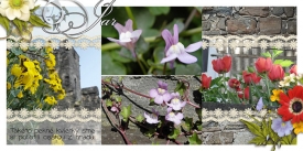 fb_lux2011_cochem3_small.jpg