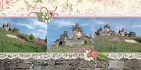 fb_lux2011_cochem4_small.jpg