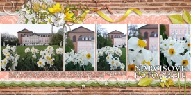 fb_lux2011_narcisy.jpg