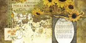 fb_poems_sunflowers_small.jpg