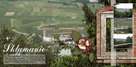 fb_ruedesheim_02_sklamanie_small.jpg