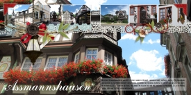 fb_ruedesheim_05_assmannshausen_small.jpg