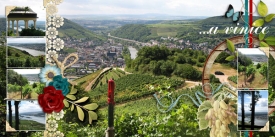 fb_ruedesheim_05_vinice2_small.jpg