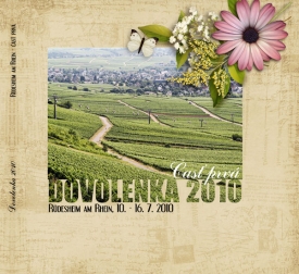 fb_ruedesheim_cover11.jpg