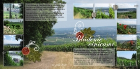 fb_ruedesheim_vinice_small.jpg