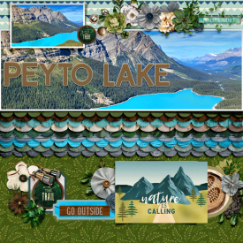 fdd_iNSD2025_TemplateChallenge-W.png