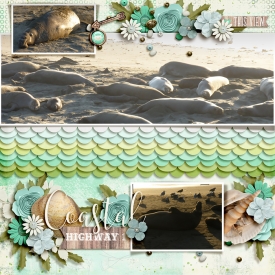 fdd_iNSD2025_TemplateChallenge_LEA.jpg