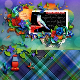 february01_smaller3.jpg