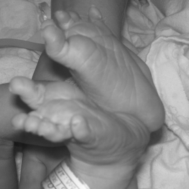 feet4.jpg