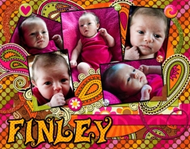 finley-web.jpg