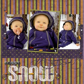 firstsnowlow.jpg