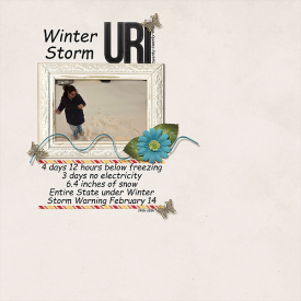 flergs_RTM_practicallyPerfect_WinterStormUri.jpg