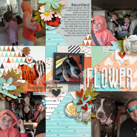 flower-reunited.jpg