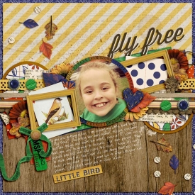 flyfree2.jpg