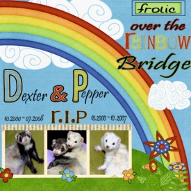 frolic_2_copy.jpg