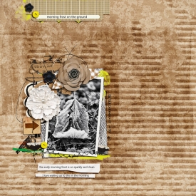 frost-copy.jpg