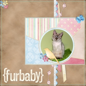 furbaby.jpg