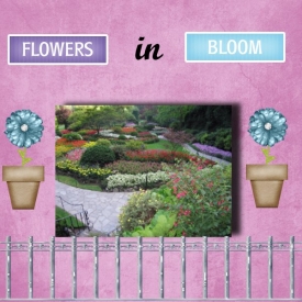 gardeners_world.jpeg