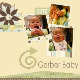 gerberbaby.jpg