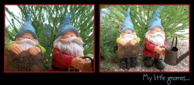 gnomes-pic.jpg