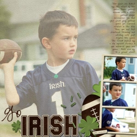 go-irish-web.jpg