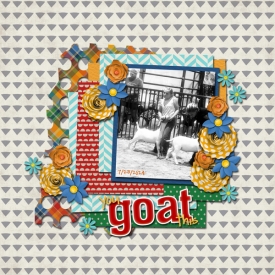 goat-show-7-2-24.jpg