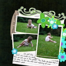 grass1.jpg