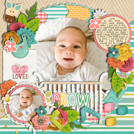 grow2020web1.jpg