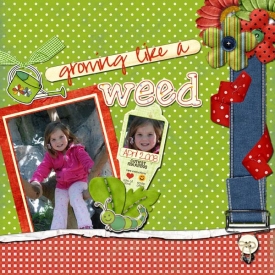 growing_like_a_weed.jpg