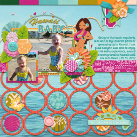 hawaiibaby_web.png