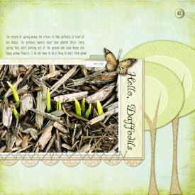 hello-daffodils-500.jpg
