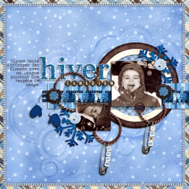 hiver-canadien2.jpg
