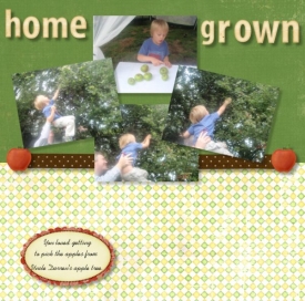 home_grown.jpeg