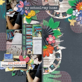 homeschool4.jpg